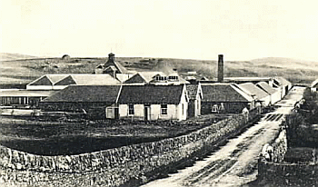 Distillerie de Port Ellen