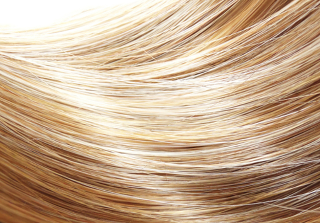Die 10 teuersten Haarsträhnen, die je verkauft wurden