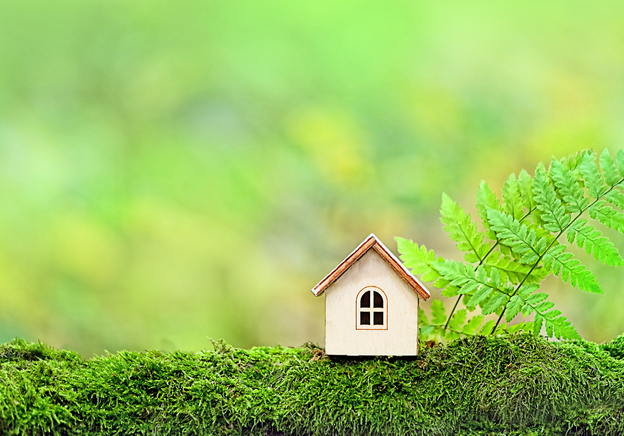 Selling from home: how to sell in an eco-friendly way