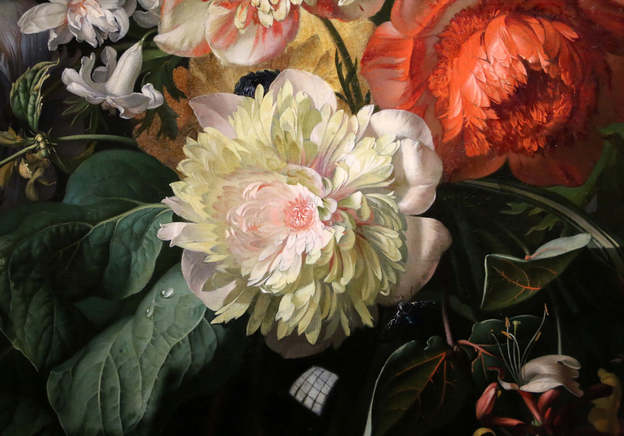How Rachel Ruysch became the queen of floral still life