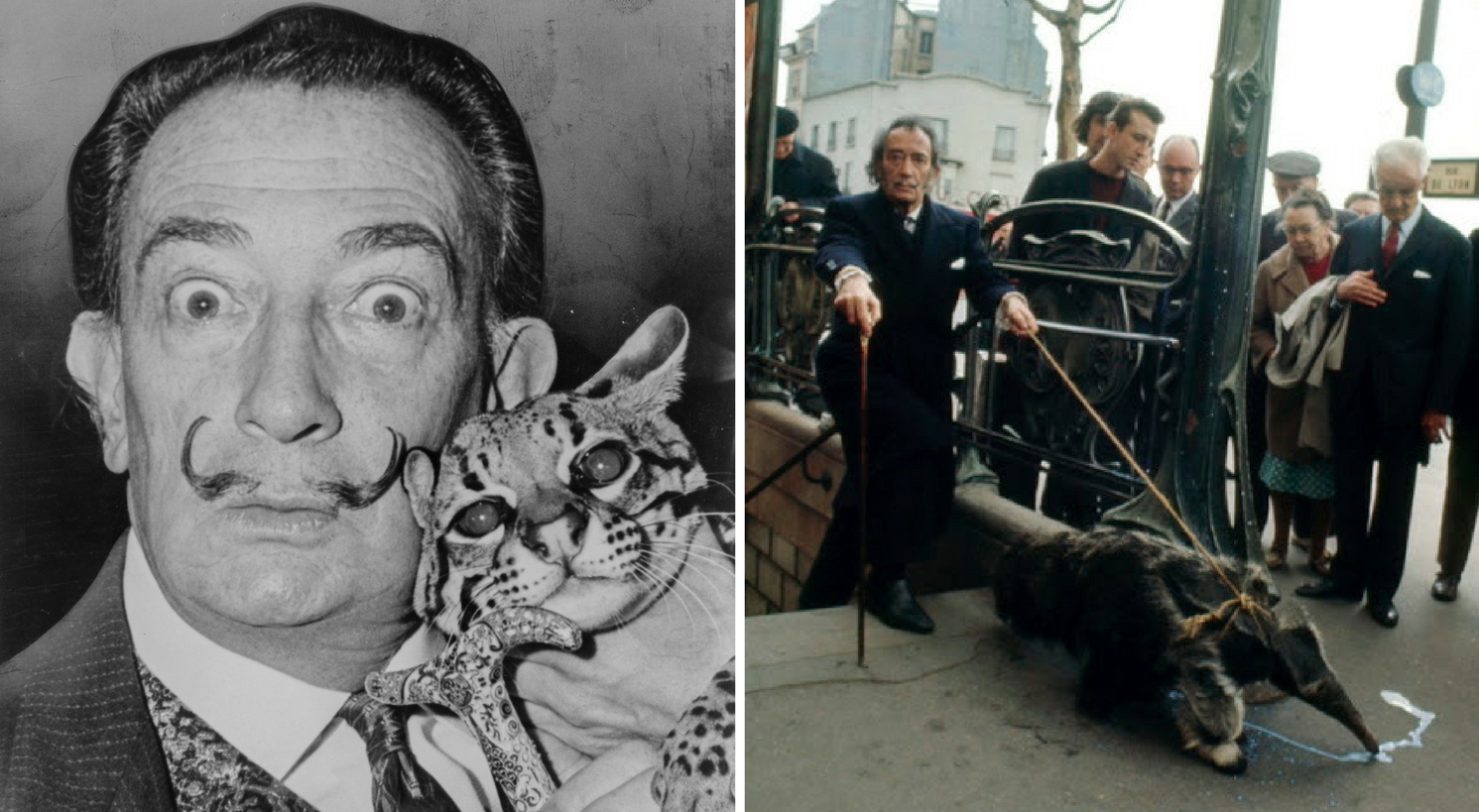 10 Things You Didn't Know About Salvador Dali - Catawiki