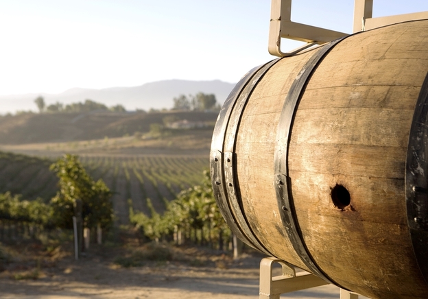 As origens humildes do vinho mais caro de Bordéus