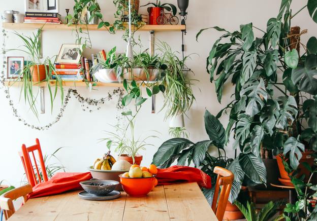 Comment décorer votre intérieur en style opulence botanique