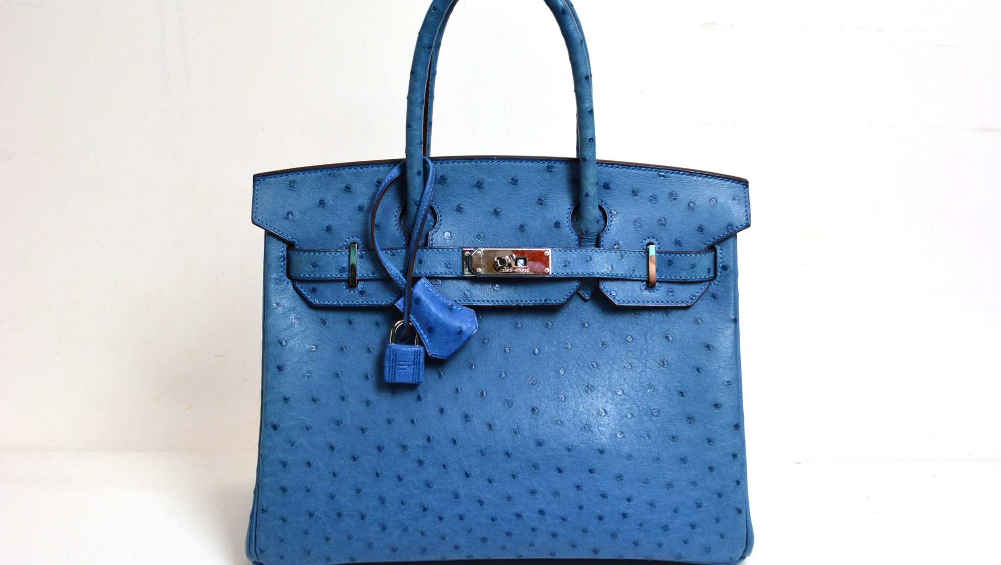 goyard birkin bag